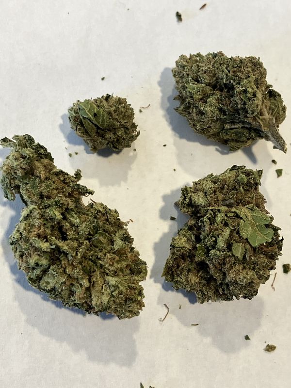 Flower- Super Lemon Haze