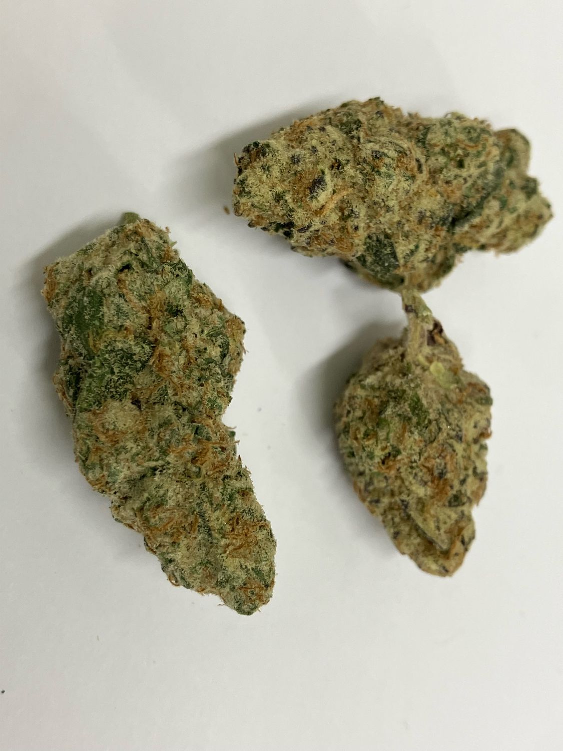 Flower- Georgia Pie