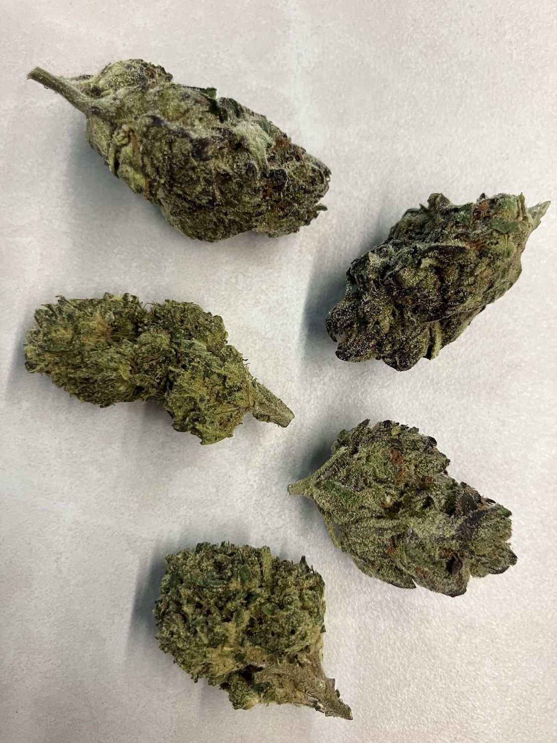 Flower- Granddaddy Purple