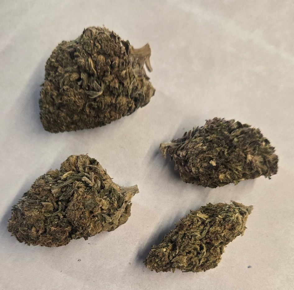 Flower- NYC Diesel