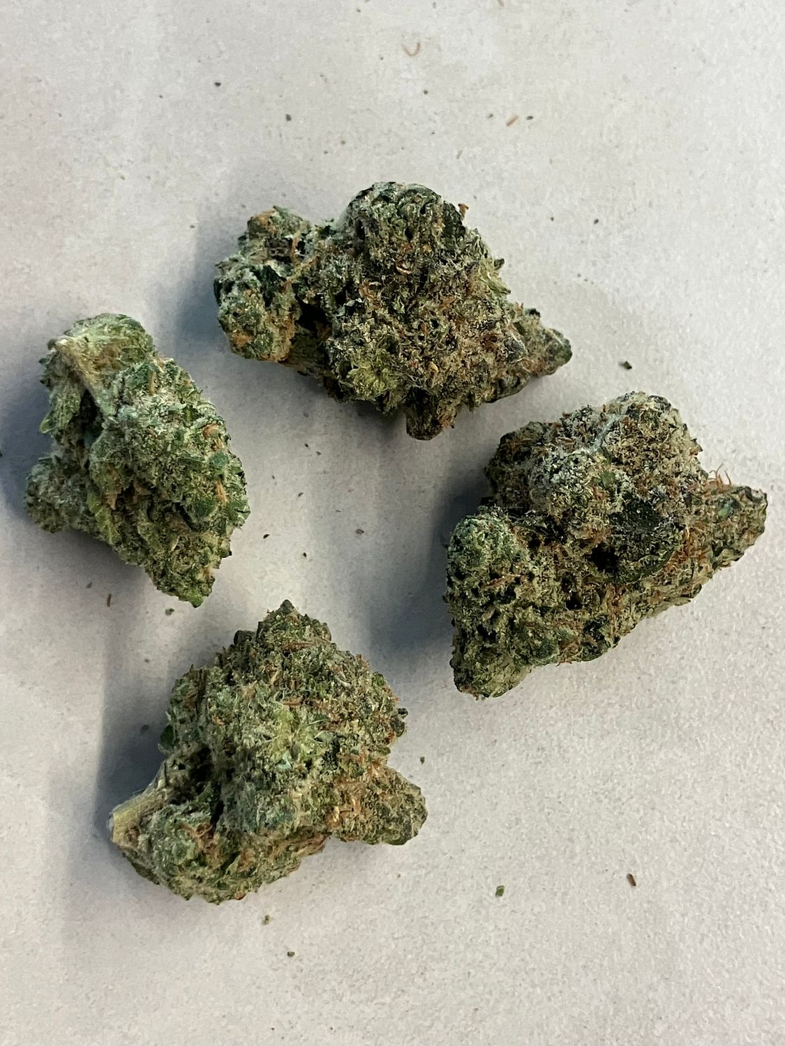 Flower- Blue Dream