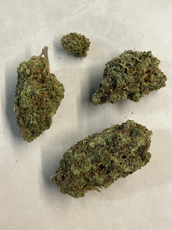Flower- Panama Red
