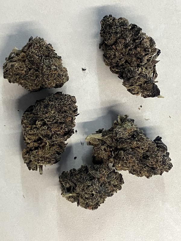 Flower- King Louis XIII