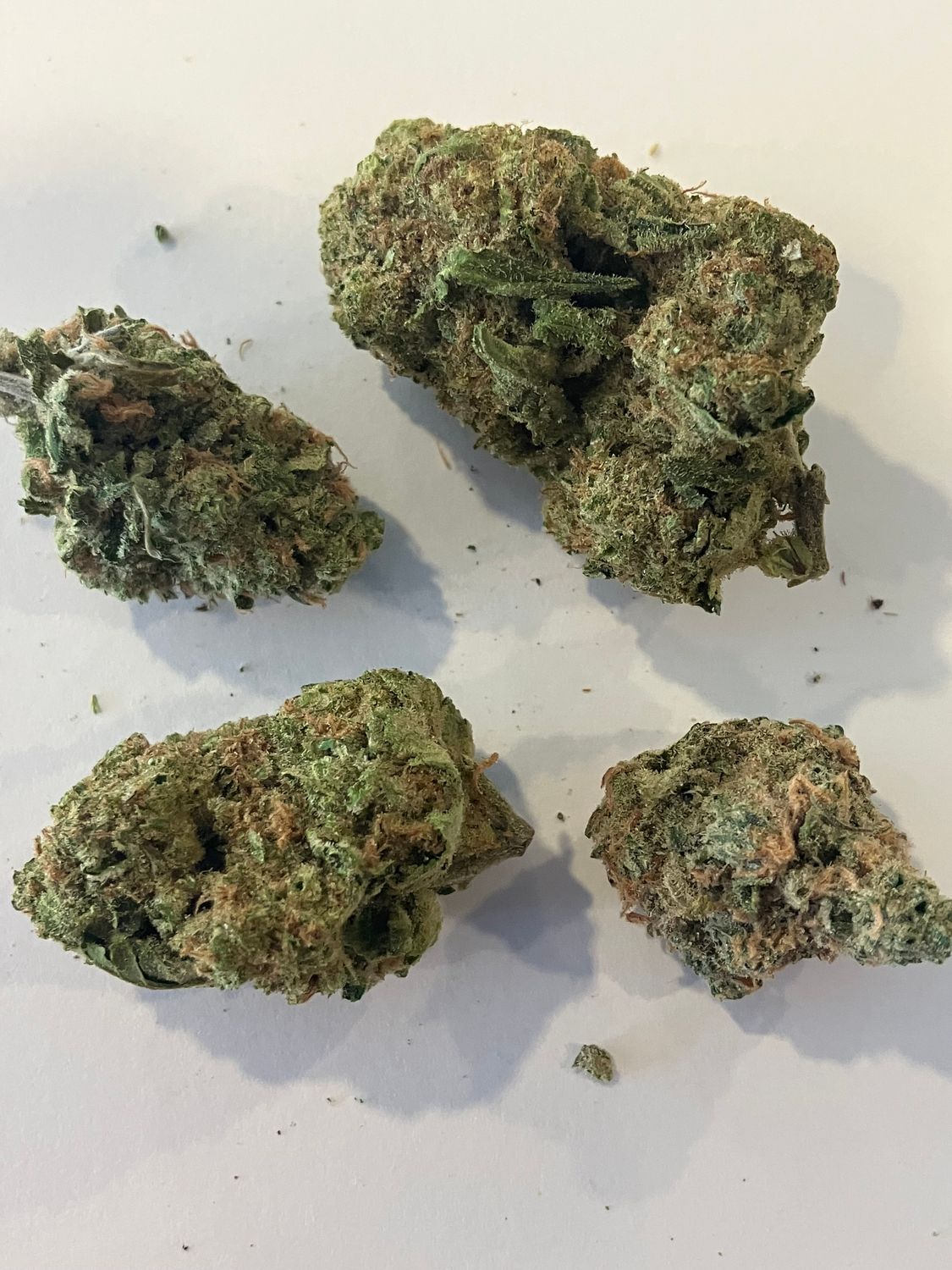 Flower- Maui Wowie