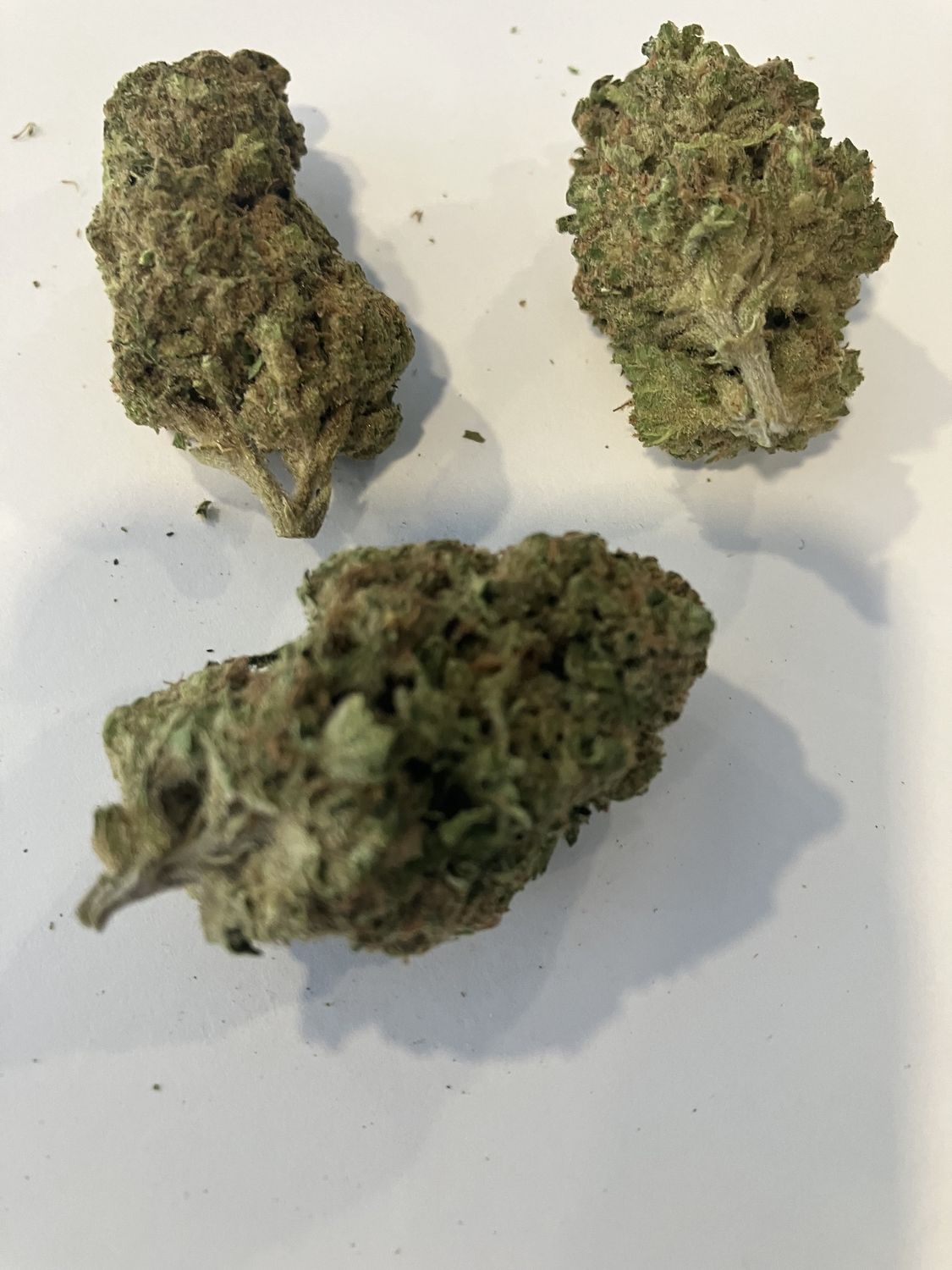 Flower- Acapulco Gold