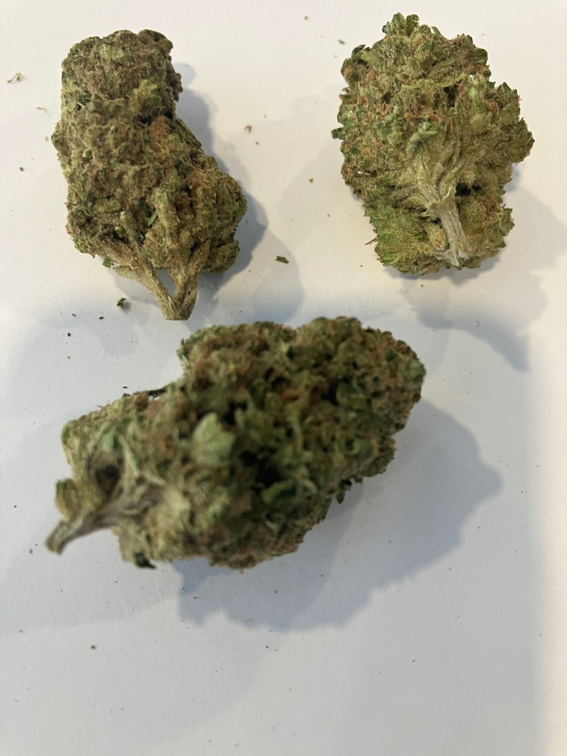 Flower- Acapulco Gold