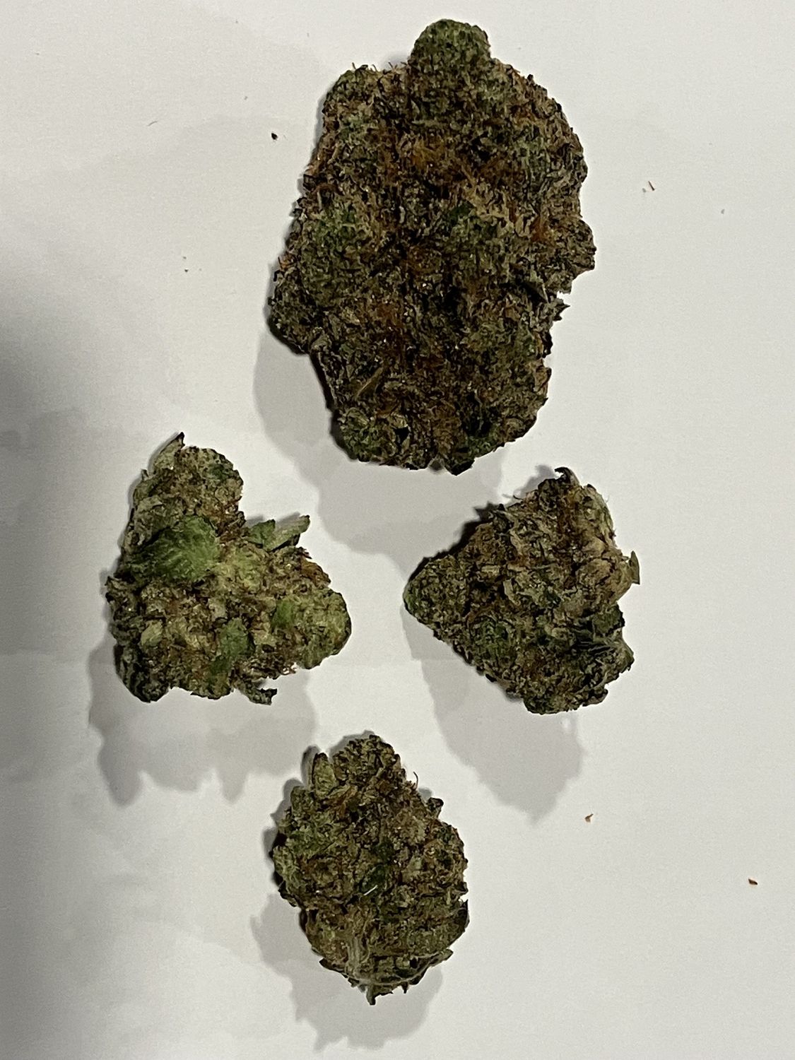 Flower- Bruce Banner