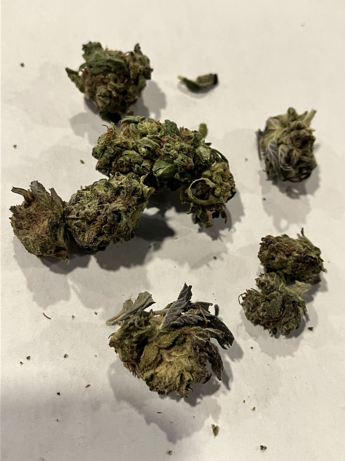 Flower- Lambo OG (Smalls)