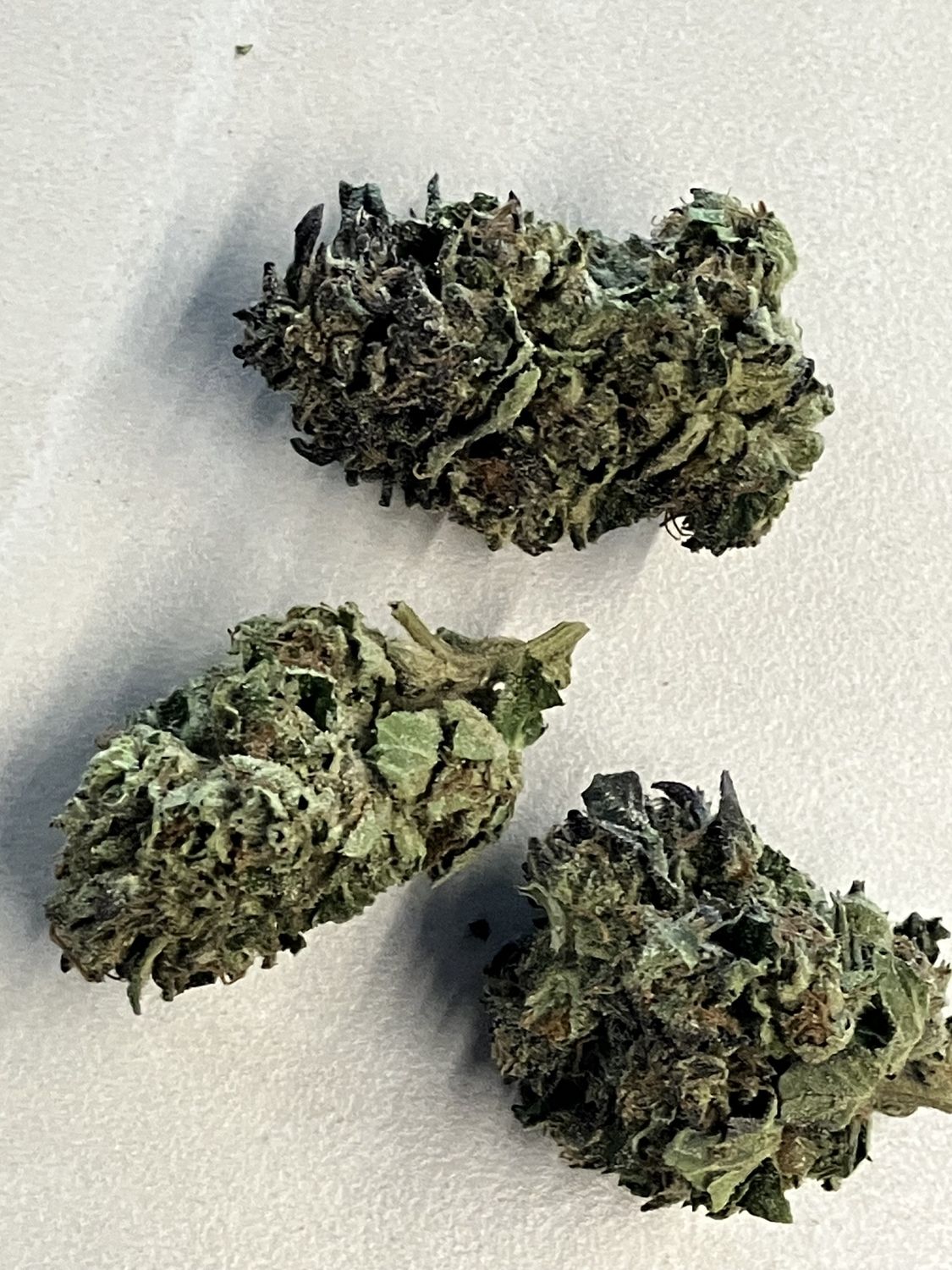 Flower- Purple Cream