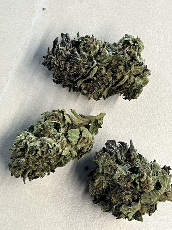 Flower- Purple Cream