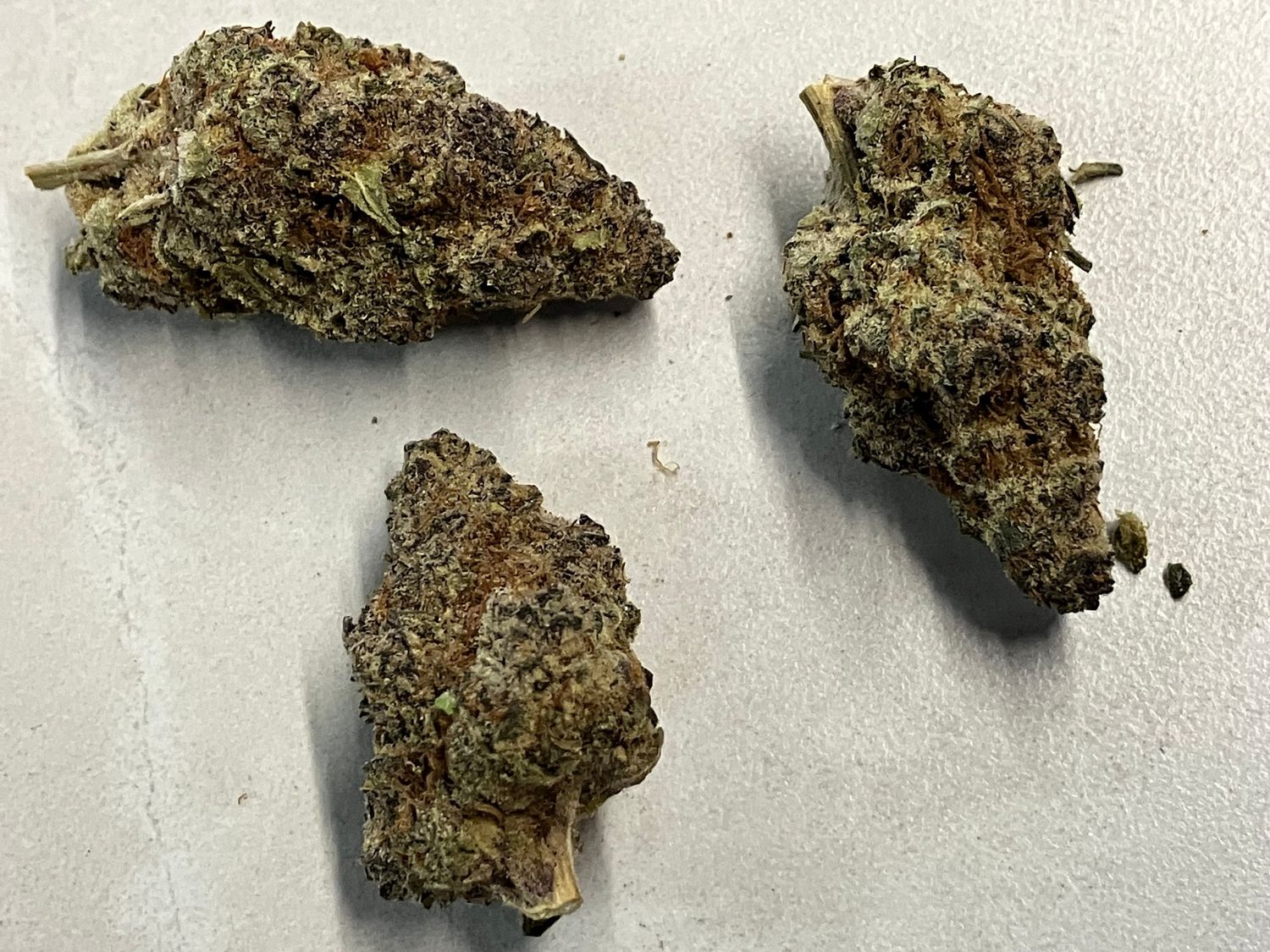 Flower- Tropicana Cherry Cookies