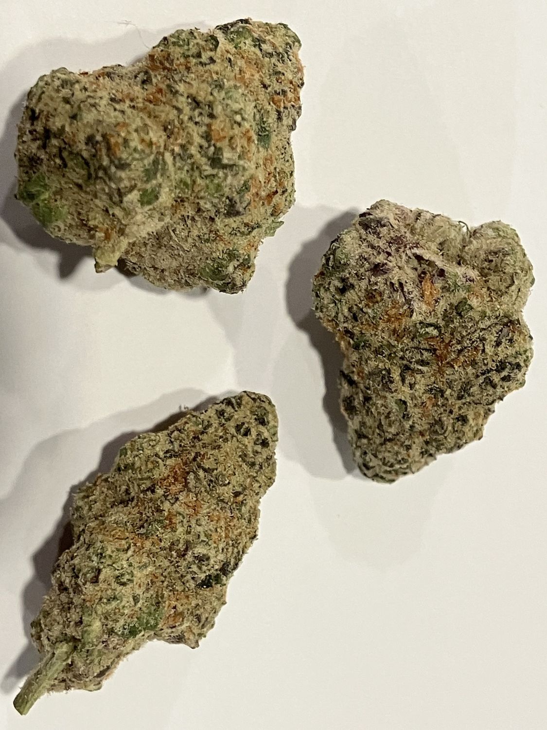 Flower- Astronaut Status 24