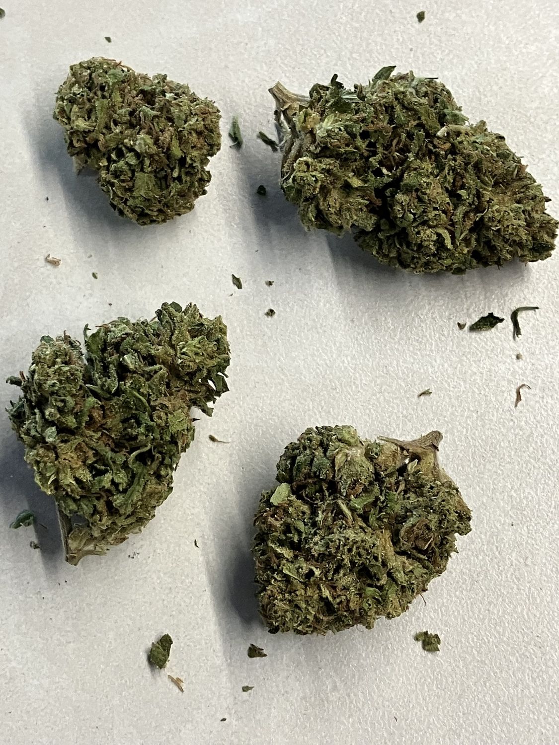 Flower- Khalifa Mints