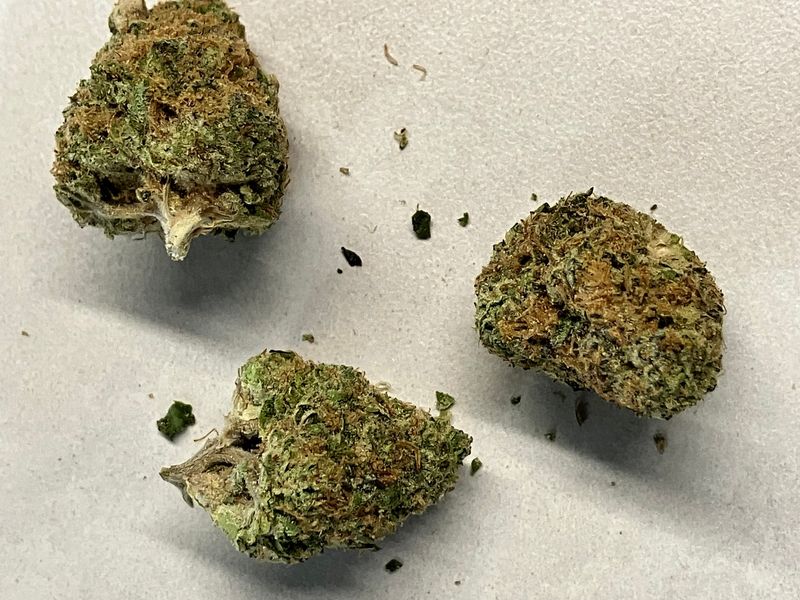 Flower- Tiger's Milk