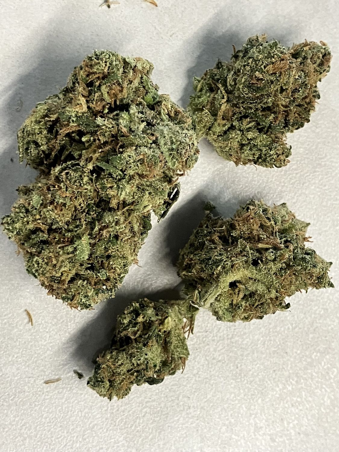 Flower- Alaskan Thunderfuck