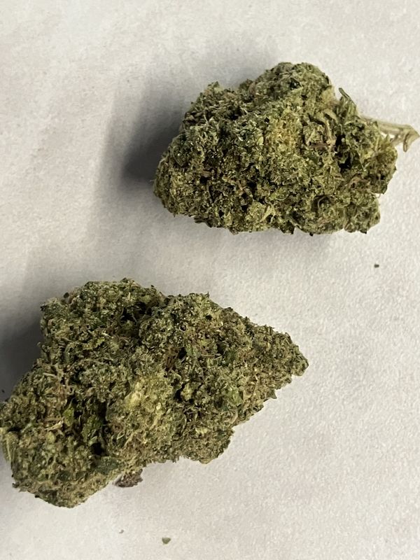 Flower- Durban Poison