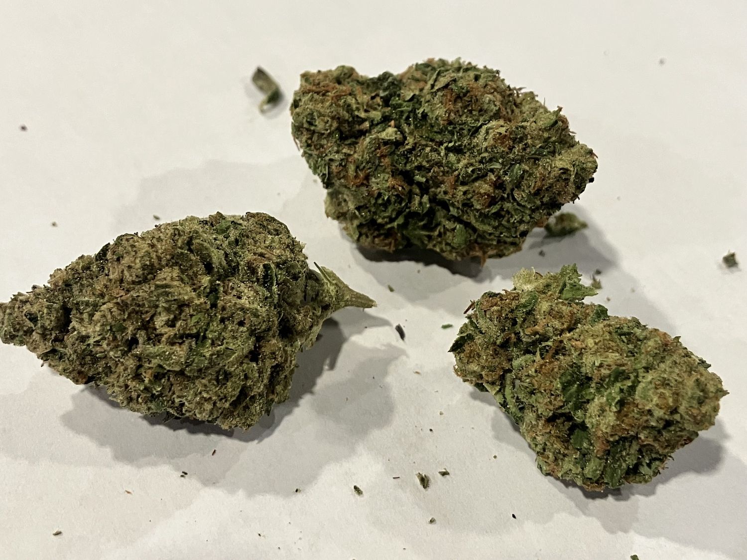 Flower- Larry Bird Gelato