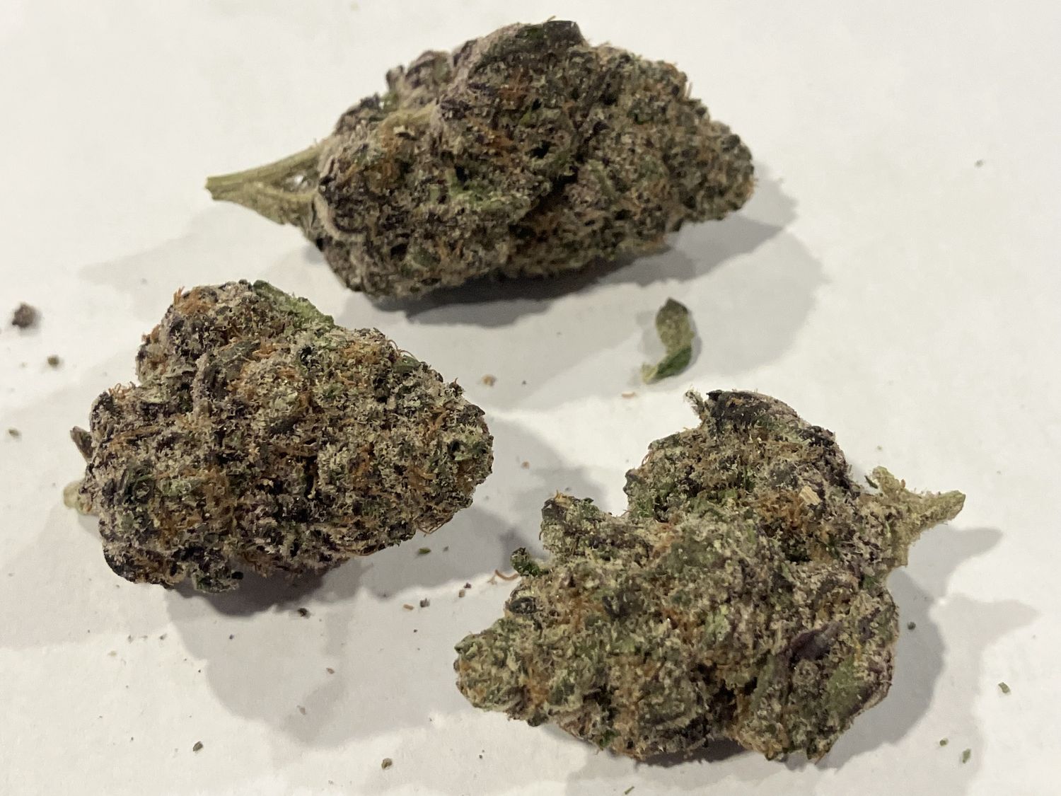 Flower- Purple Nebula