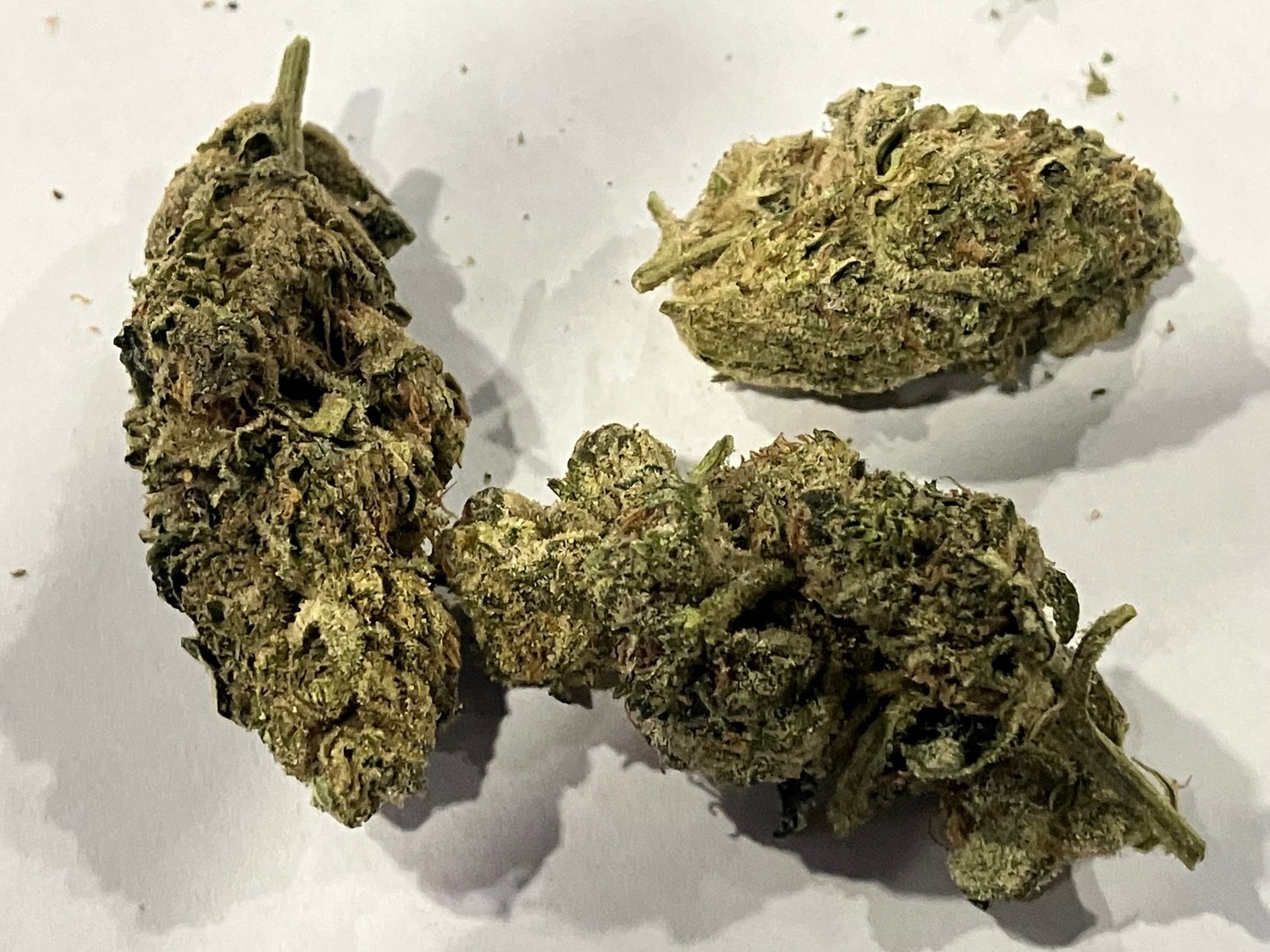 Flower- Pineapple Punch