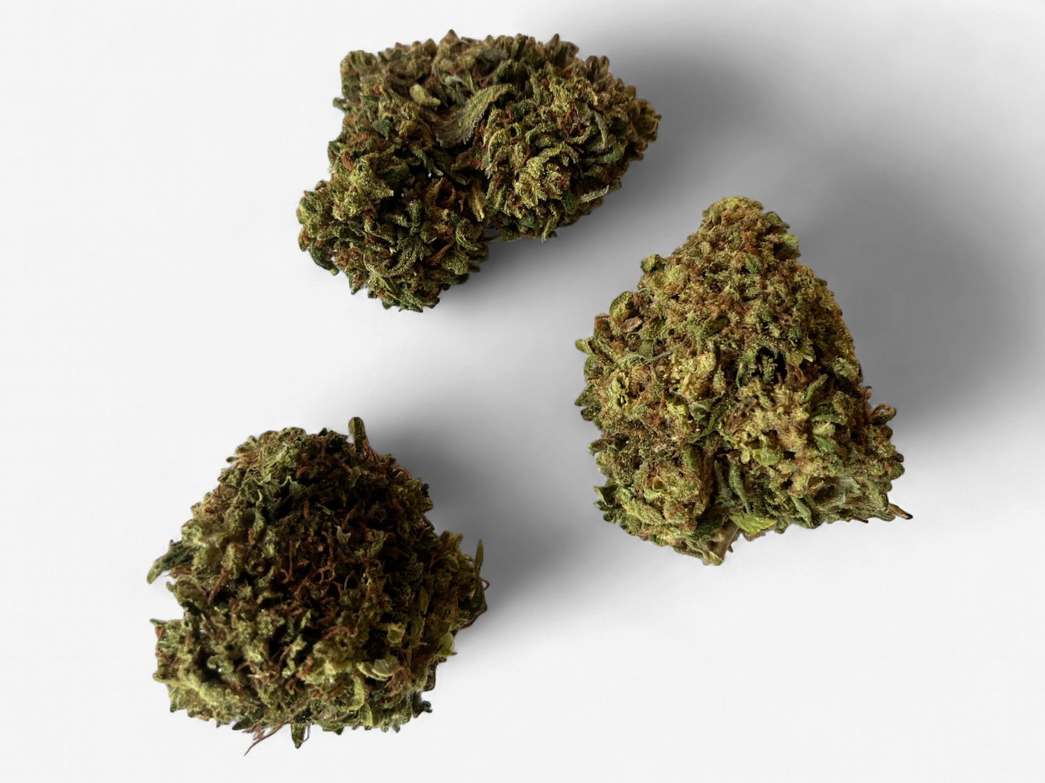 Flower- Key Lime Pie