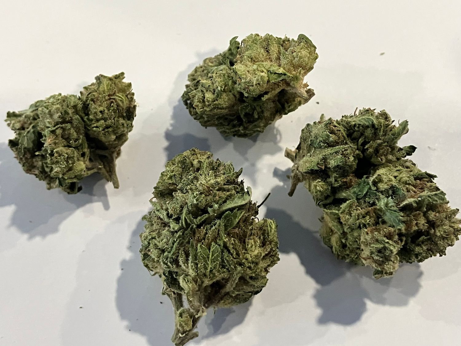 Flower- White Rhino
