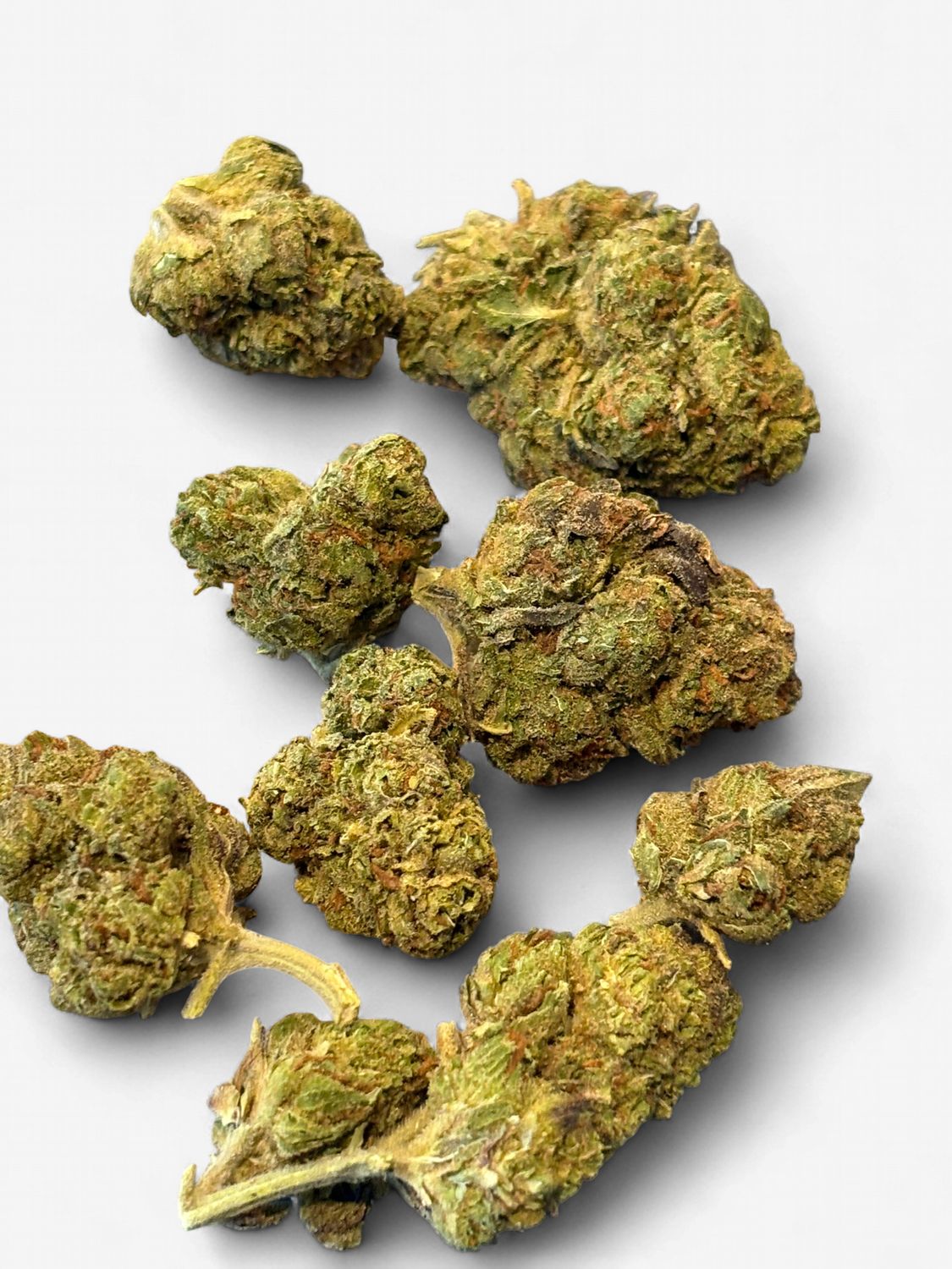 Flower- Gary Poppins