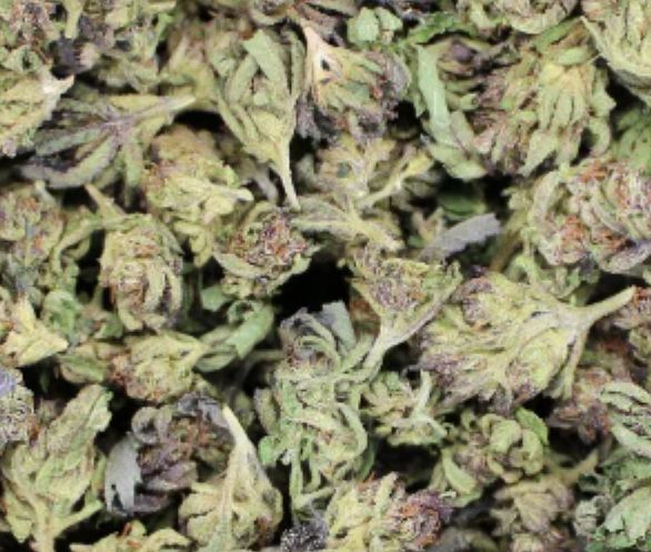 Flower- Purple Unicorn