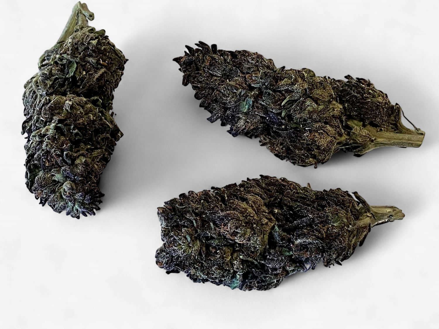 Flower- Purple Unicorn