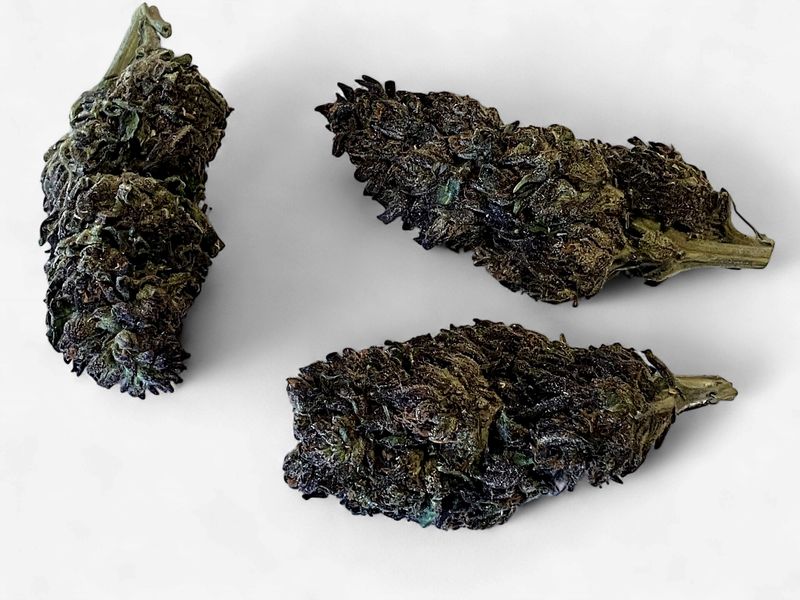 Flower- Purple Unicorn