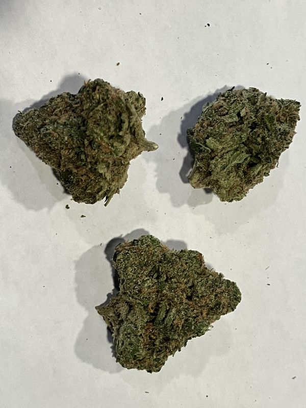 Flower- Tropical Lemon