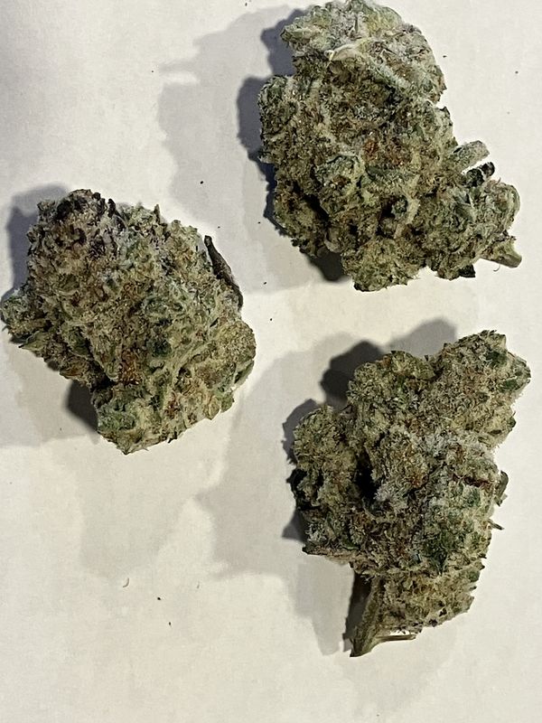 Flower- Gucci Berry's