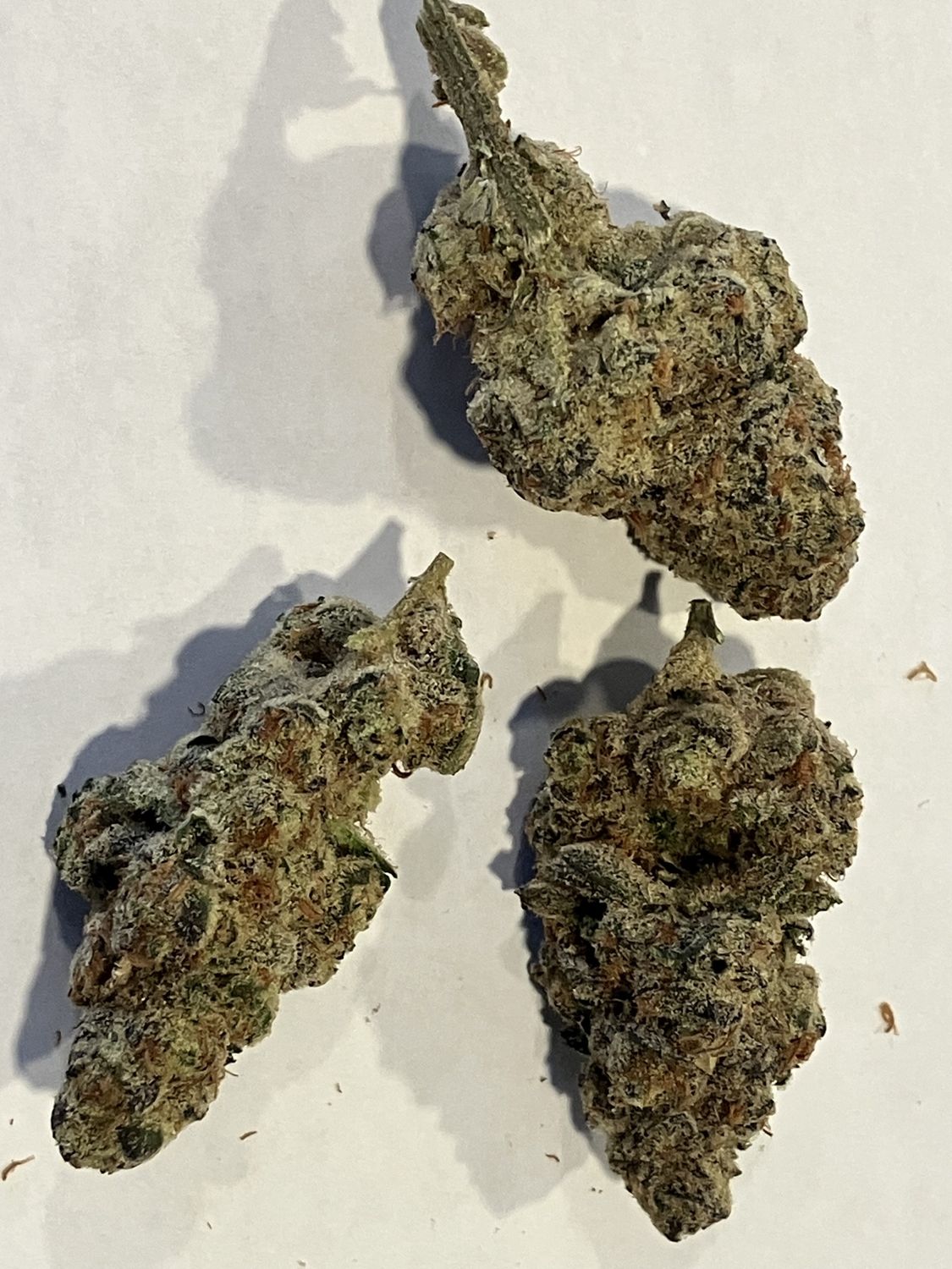 Flower- Berry Pound Cake