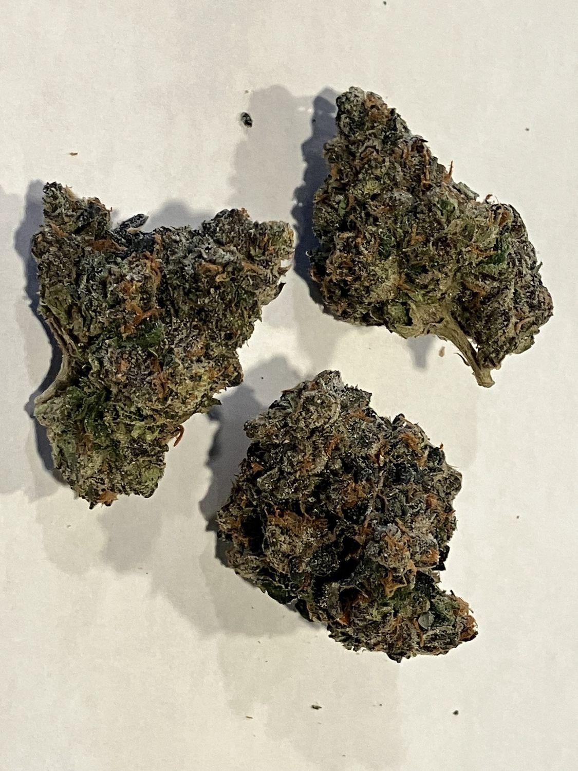 Flower- Brain Damage