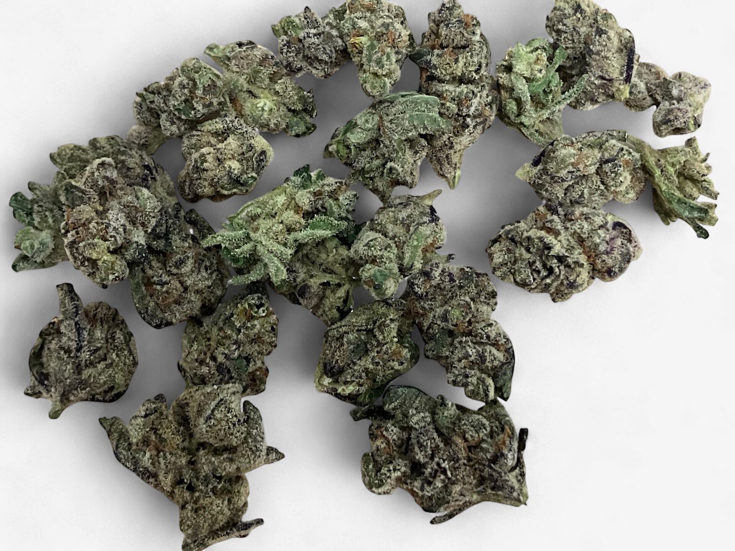 Flower- Black Jack (smalls)