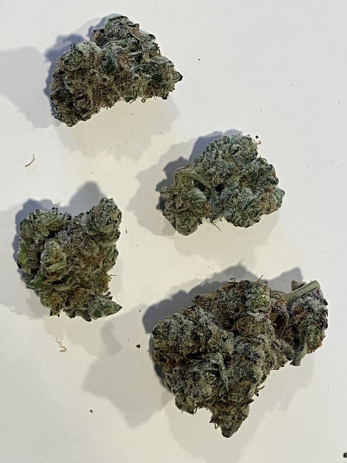 Flower- Sour Garlic Cookies