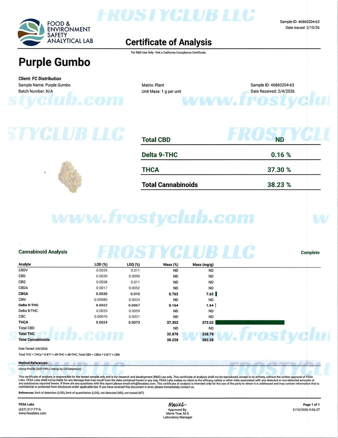 Flower- Purple Gumbo