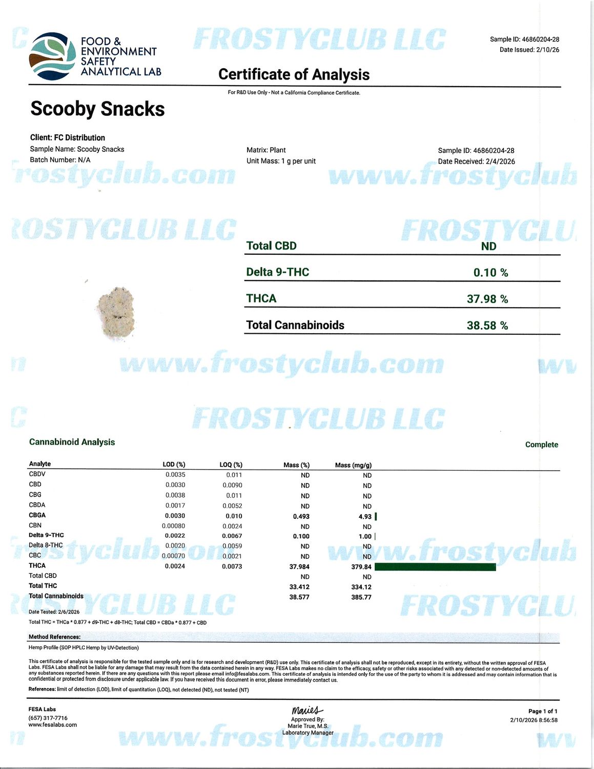 Flower- Scooby Snacks