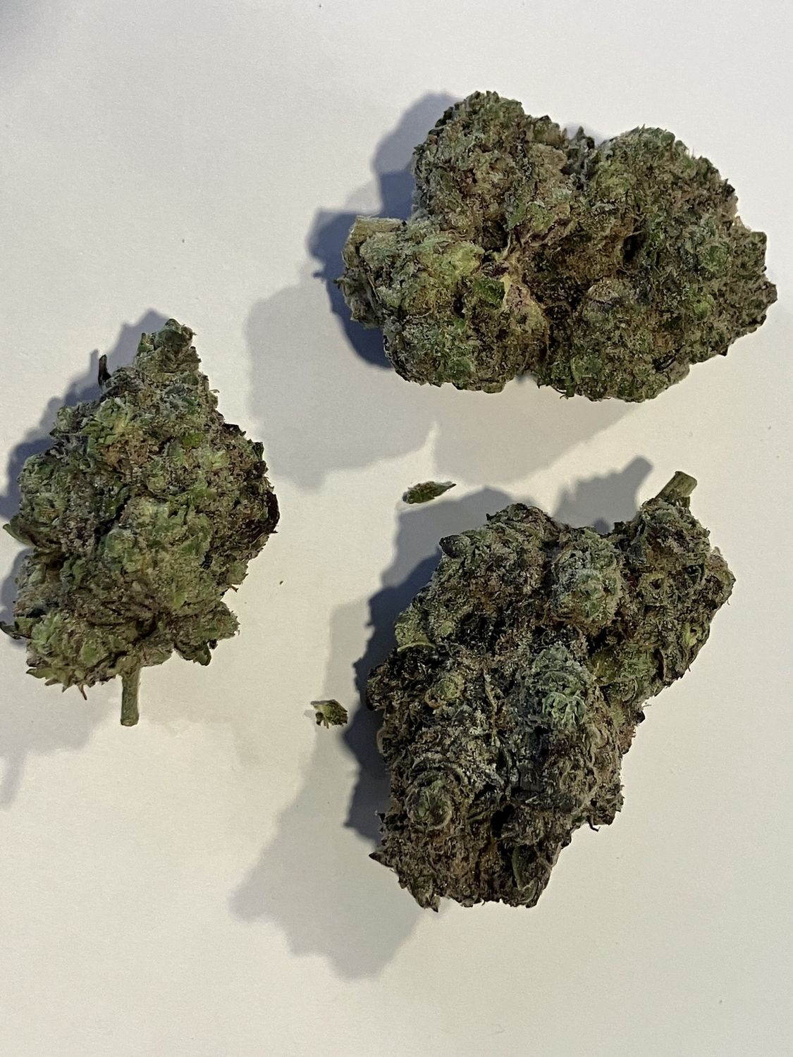 Flower- Scooby Snacks