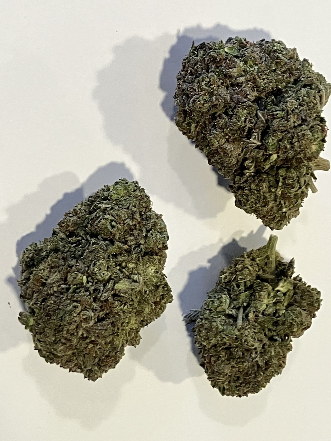 Flower- Willy Wonka