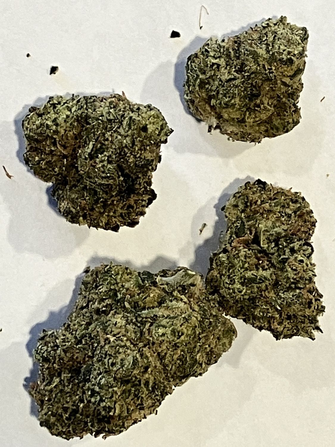 Flower- Cotton Candy