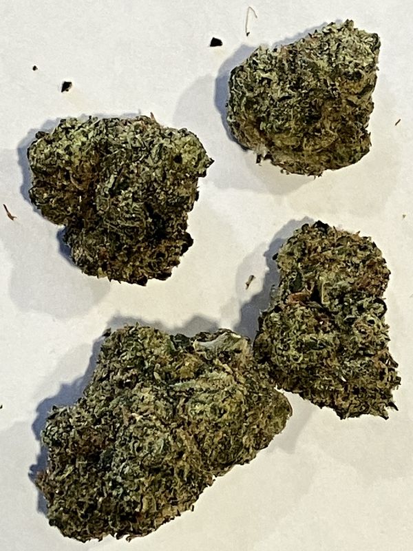 Flower- Cotton Candy