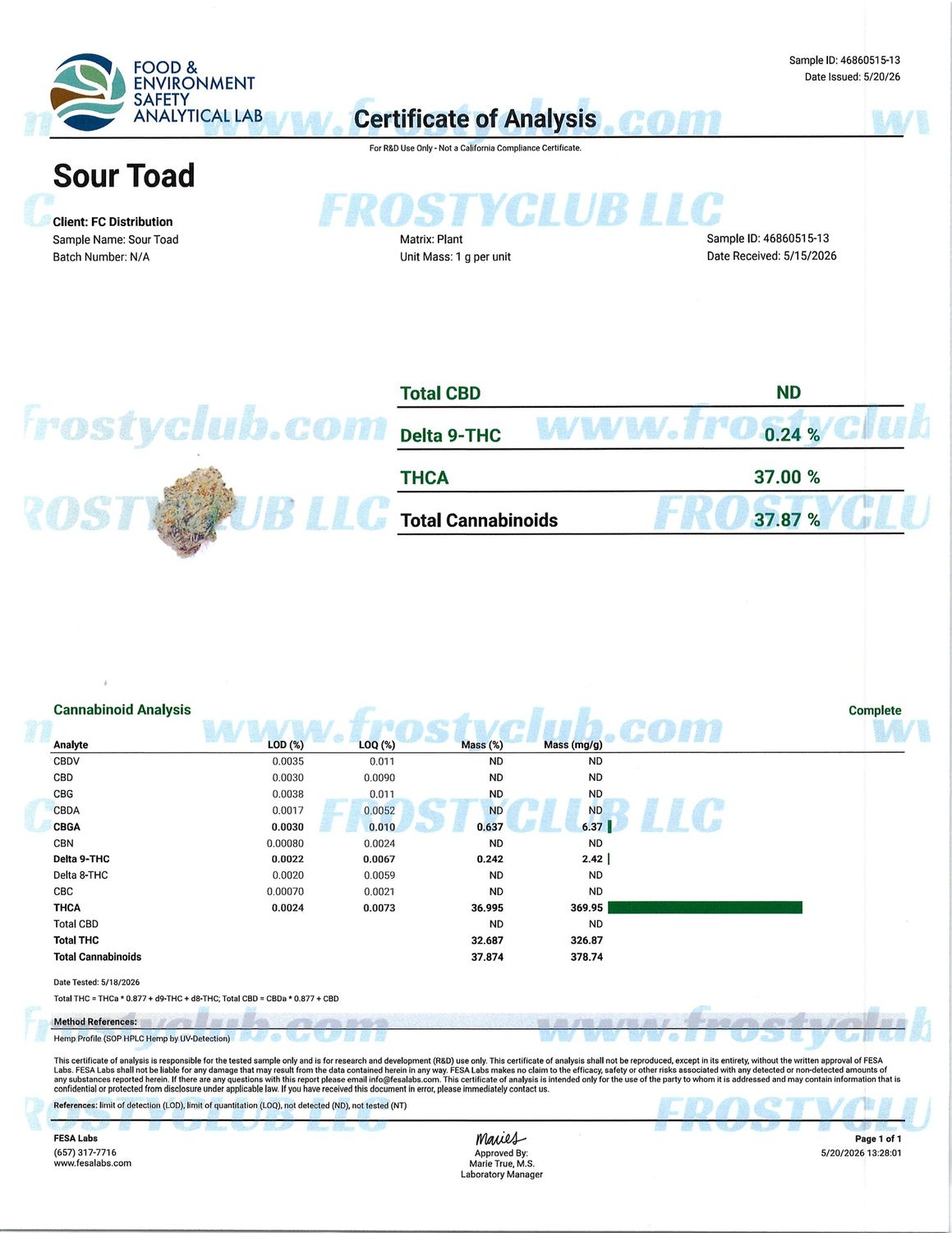 Flower- Sour Toad