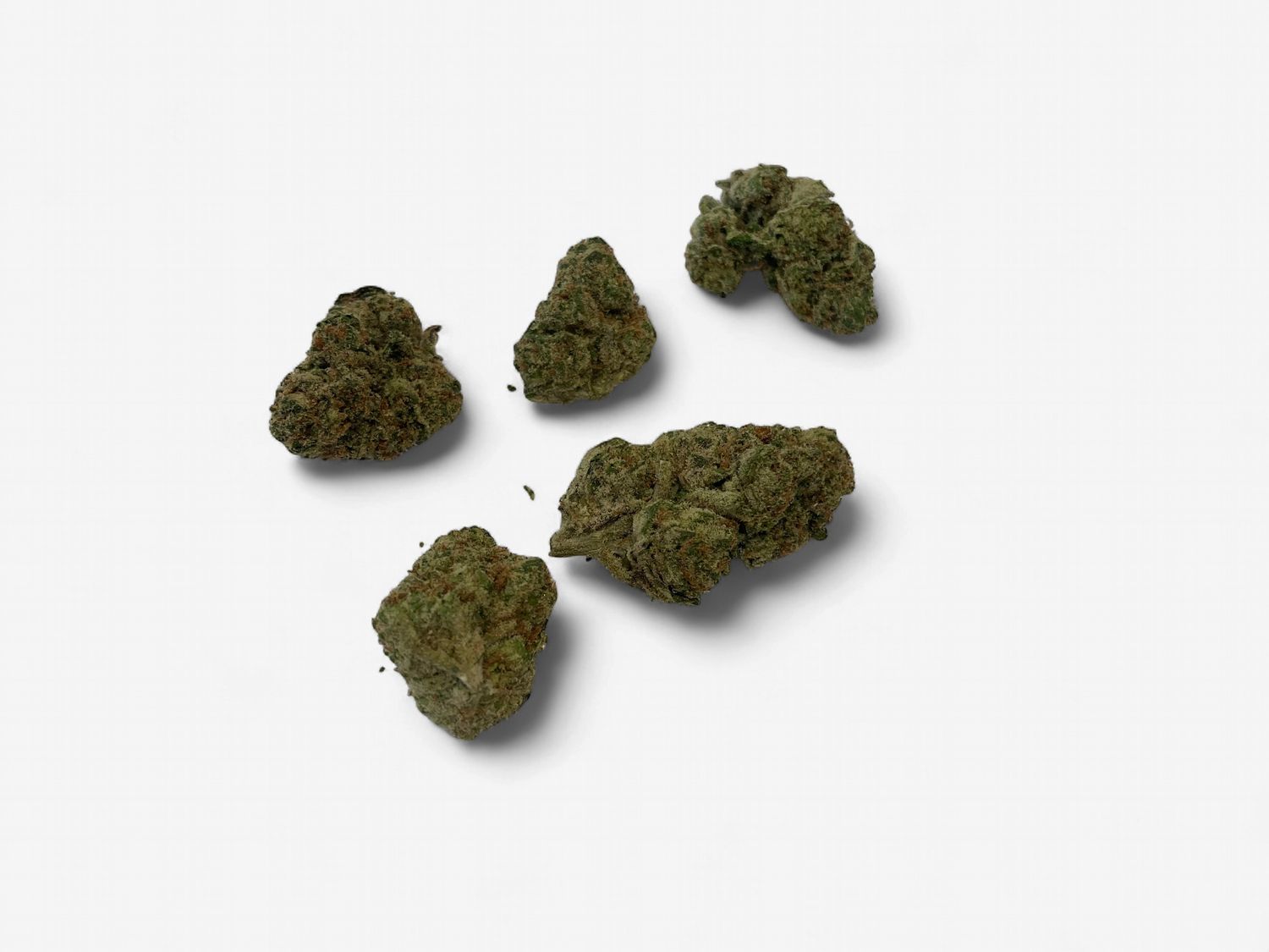 Flower- Sour Toad