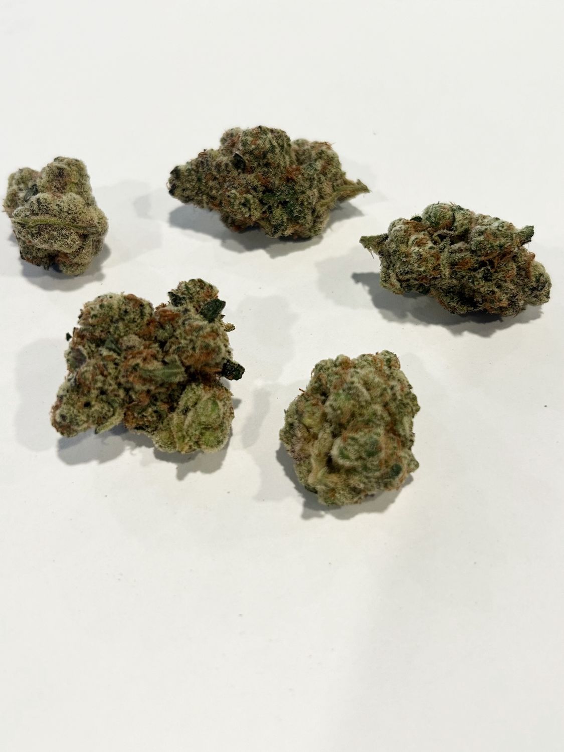 Flower- Northern Lights