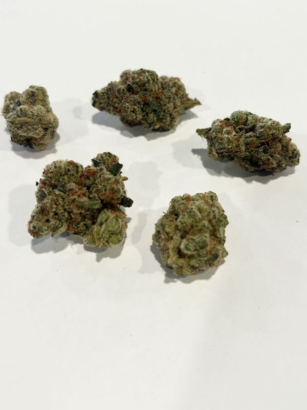 Flower- Northern Lights