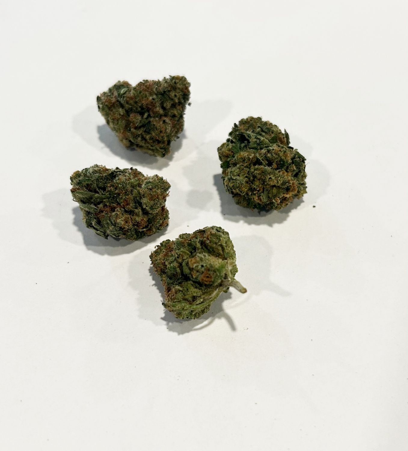 Flower- Chocolope