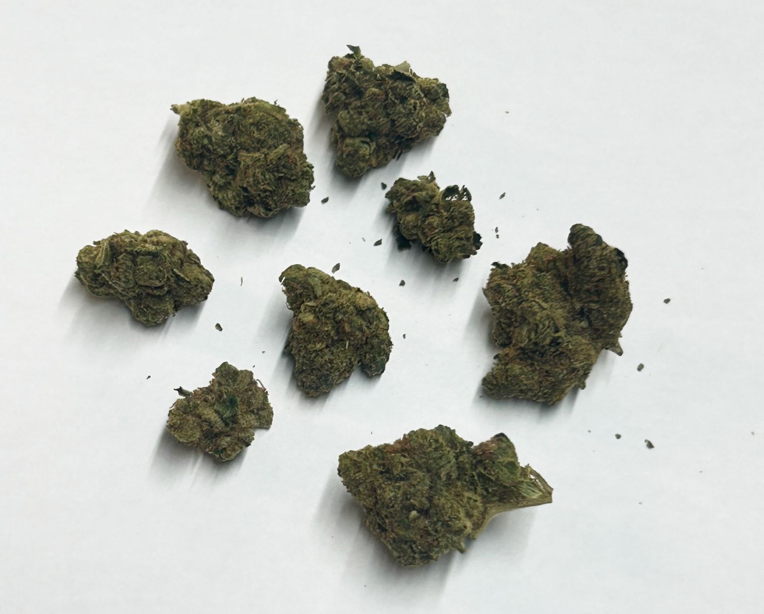 Flower- Orange Julius