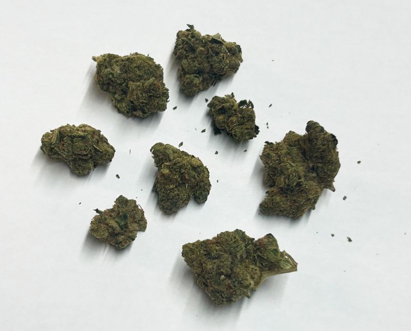 Flower- Orange Julius