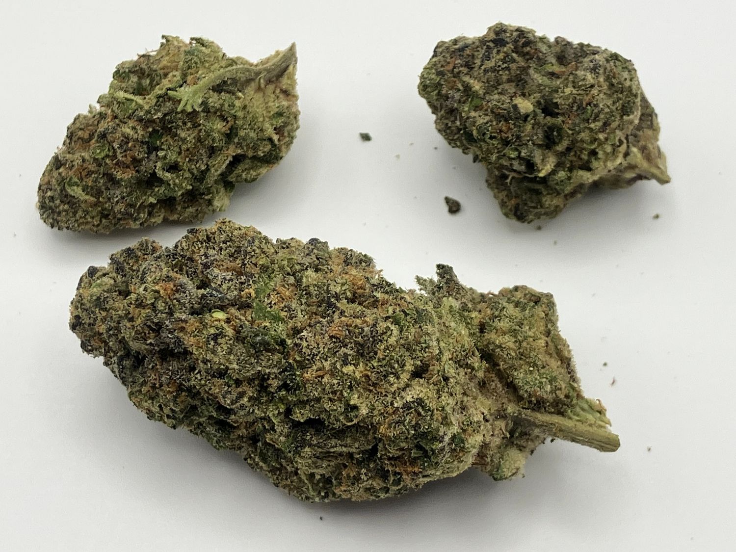Flower- Purple Haze