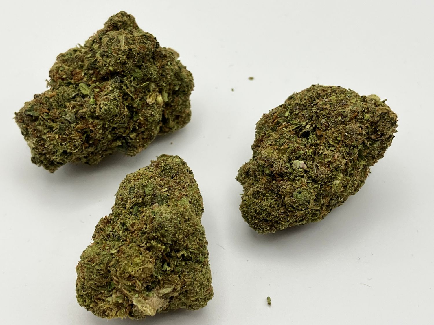 Flower- White Russian